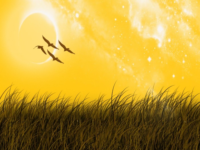 Great poster texture land scape-1024x768