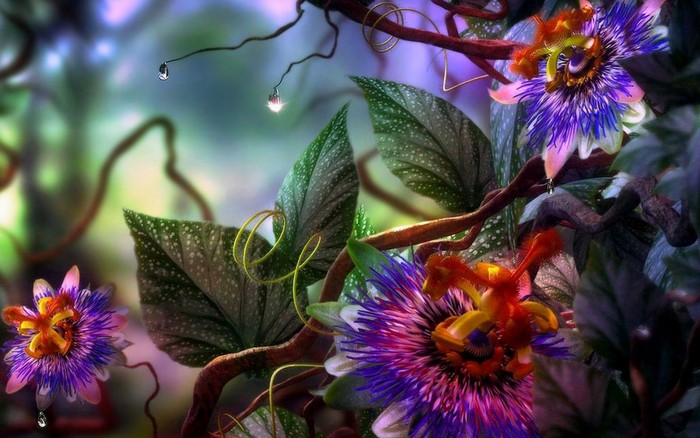 Great poster texture passionaria-1440x900