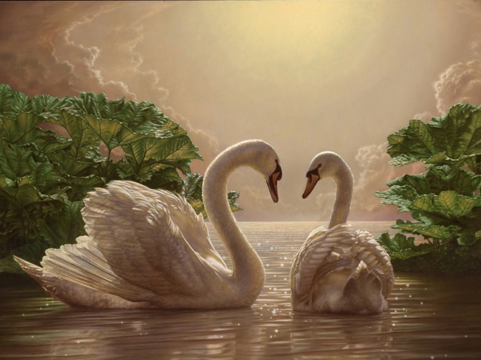 Great poster texture los cisnes-1024x768