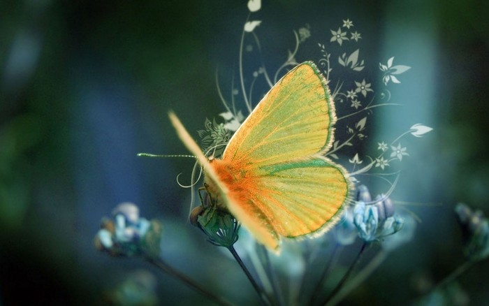 Great poster texture mariposa amarilla-1440x900