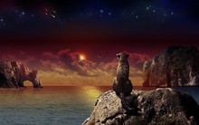 Great poster texture noche fantastica-1280x800