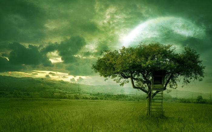 Great poster texture mundo verde-1280x800