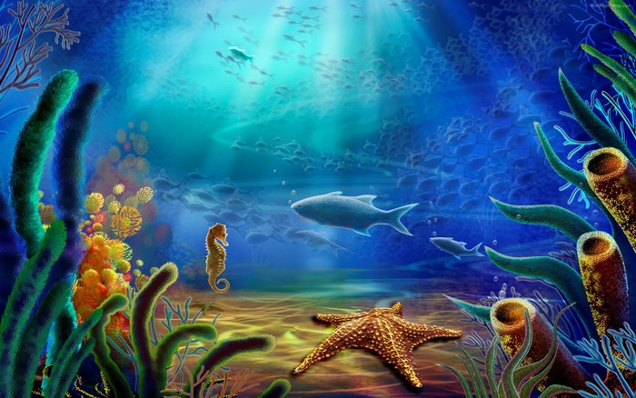 Great poster texture mundo marino-1440x900