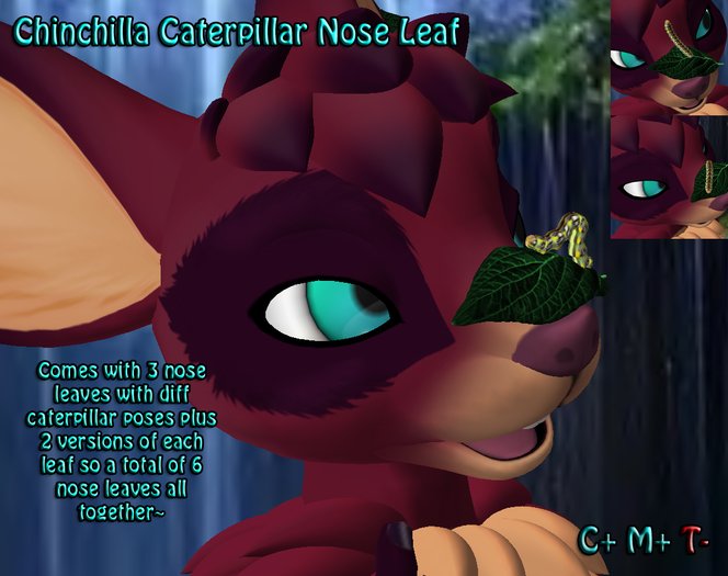 Chinchilla Nose Caterpillar Leaves *Boxed*