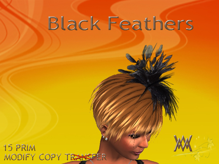 Acc. Black Feathers by Wild Motley