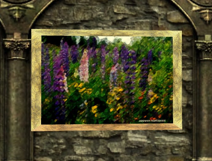 Wildflowers
