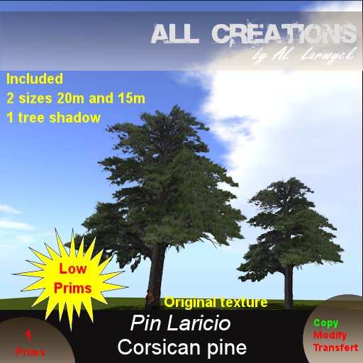 ** ALL Creations * * - Corsican pine (boxed)