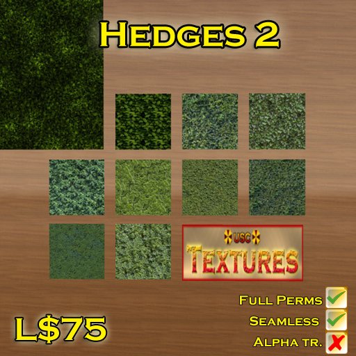 USC Textures - Hedges 2 