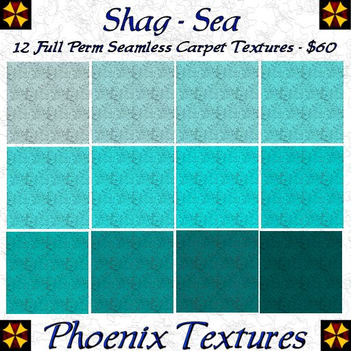 Loop Shag Sea