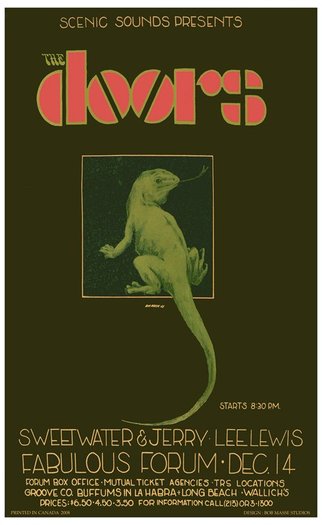 Lizard King Flyer