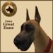 Vkc great %20dane fawn marketplace 02