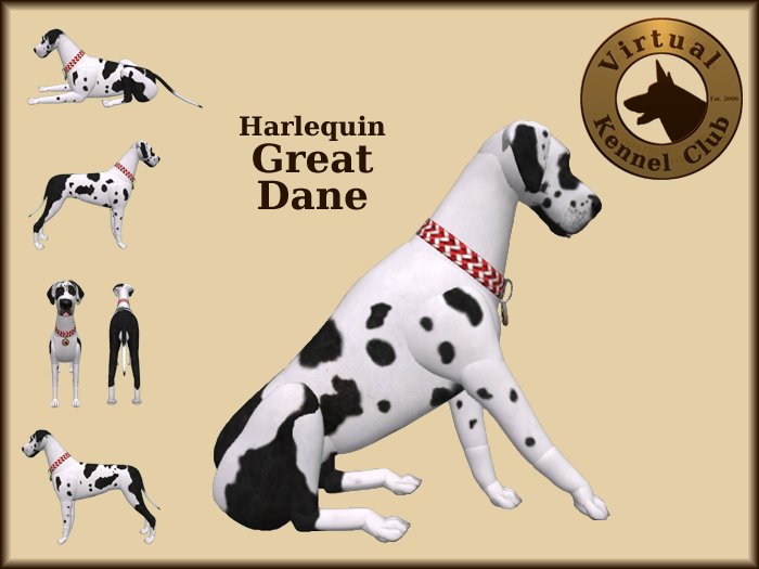 VKC® Harlequin Great Dane - Artificially Intelligent (AI) Trainable Dog -No Food- Virtual Kennel Club Dogs - Pathfinding