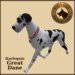 Vkc great %20dane harlequin marketplace 02