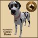 Vkc great %20dane harlequin marketplace 03
