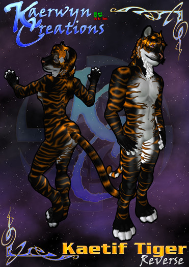Kaerwyn Creations Kaetif Tiger - Reverse