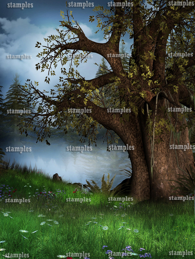 STYLE ANNADMAYA'S THE WORLD OF FAIRES 4