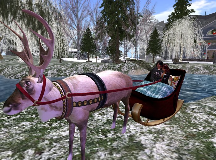 Couple Winter Sleigh Ride