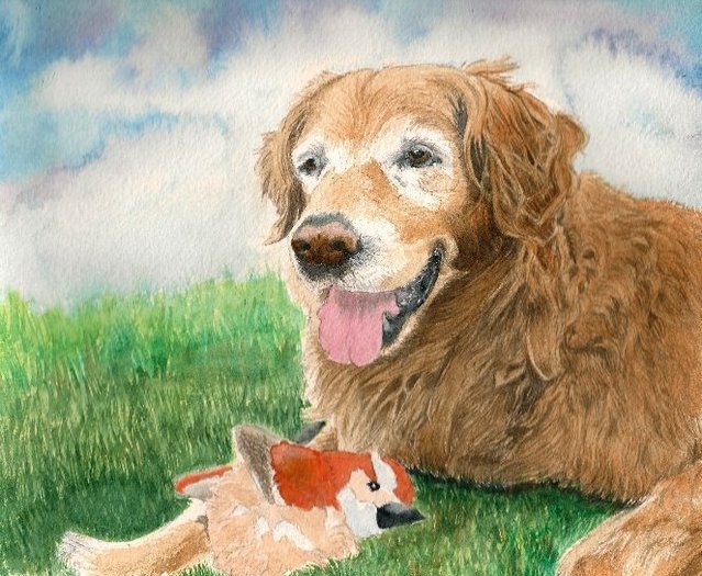 Golden Retriever
