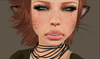 Snapshot 016