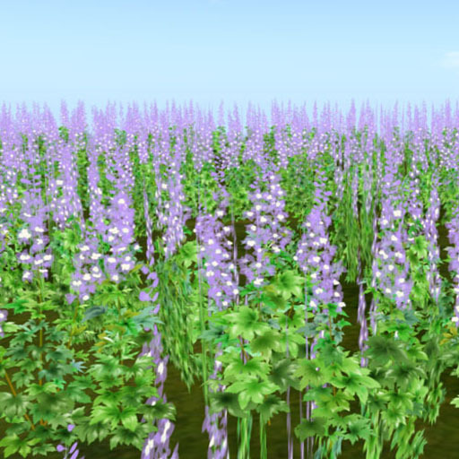 Delphinium scatters happiness_single Purple20 (copy