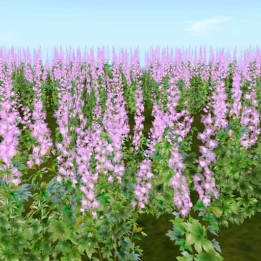 Delphinium scatters happiness_single Pink20 (copy