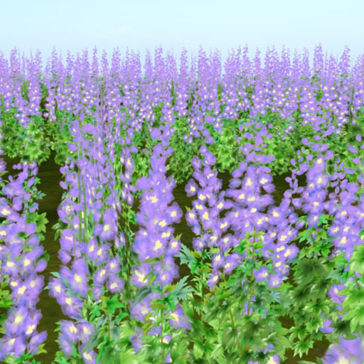 Delphinium scatters happiness_double Purple20 (copy