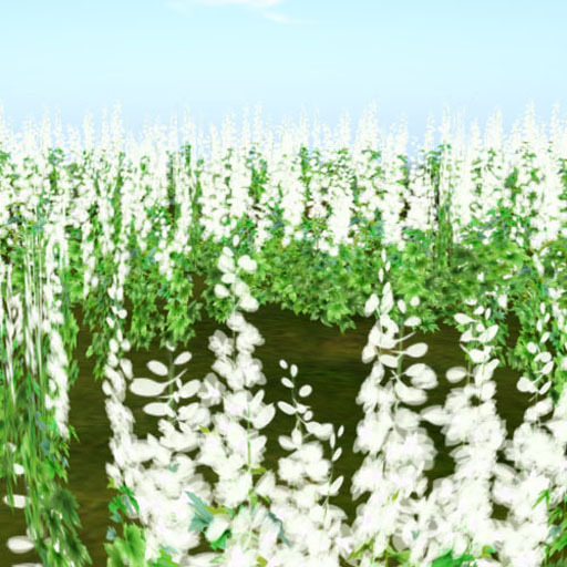 Delphinium scatters happiness_double White20 (copy