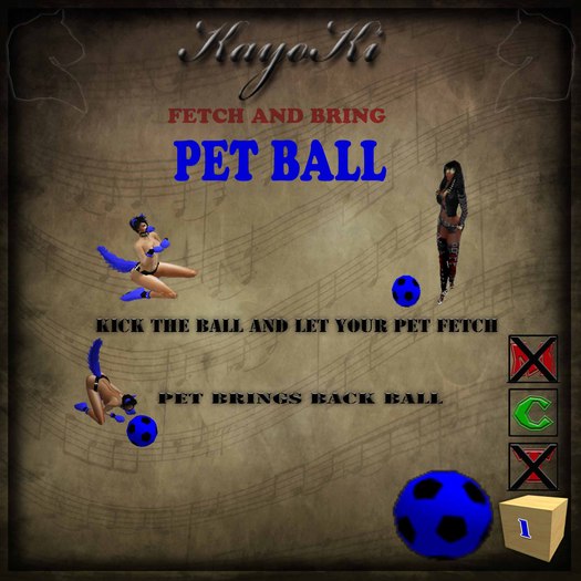 kkd Fetch and Bring Pet Ball (blue)