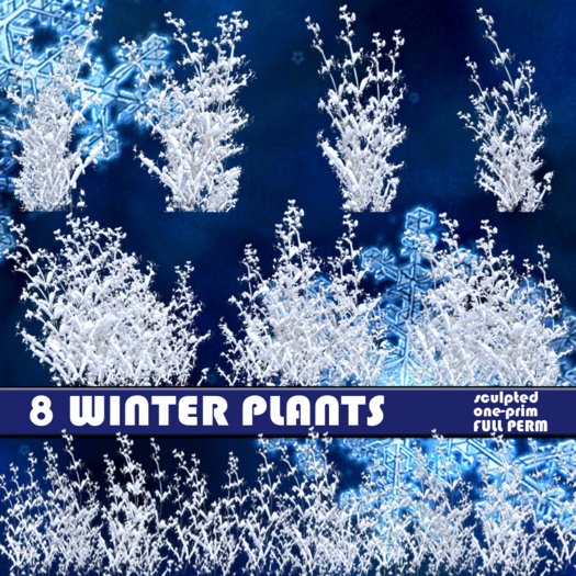 Winter Plants 8 Textures FULL PERM