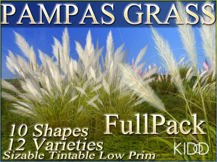 75 KIDD PAMPAS GRASS * 12 Varieties Options * 10 Shapes * Sizable * Tintable