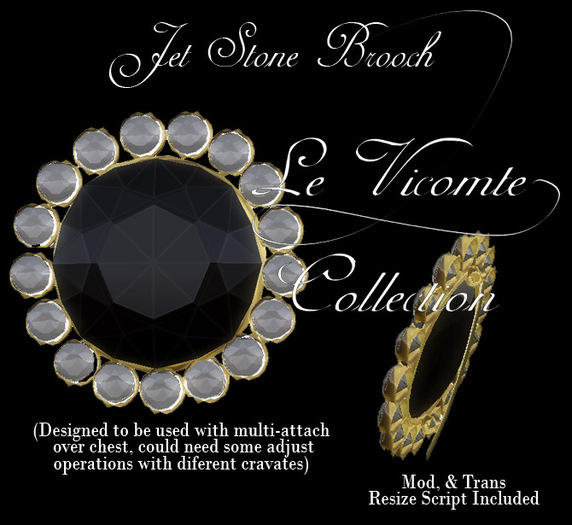 Le Vicomte Jet Stone Brooch