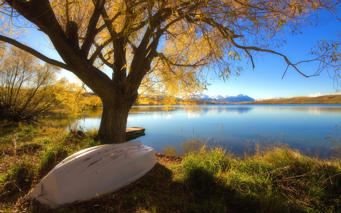 Great poster texture autumn lake 2560x1600