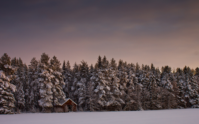 Great poster texture landscape covered in snow 2880x1800