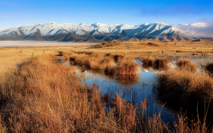 Great poster texture mackenzie country 2560x1600