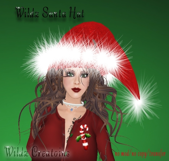 ~WC~ Wildz Santa Hat