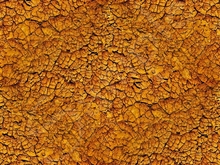 Tiled ground 1.1 FULL PERMS