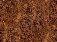 Tiled ground 1.3 FULL PERMS