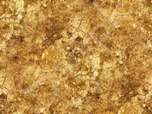 Tiled ground 1.9 FULL PERMS
