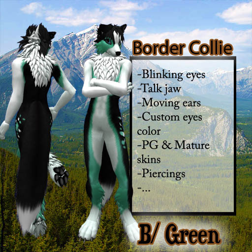 Border Collie - Black Green