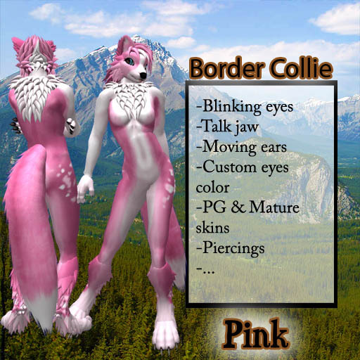 Border Collie - Pink
