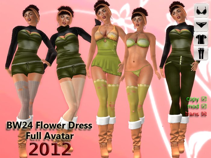 BW24 Flower Dress Box