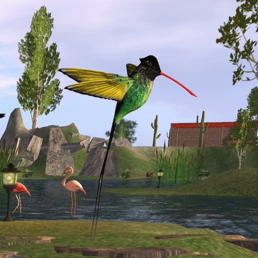 Animania Jamaican Swallowtail Hummingbird