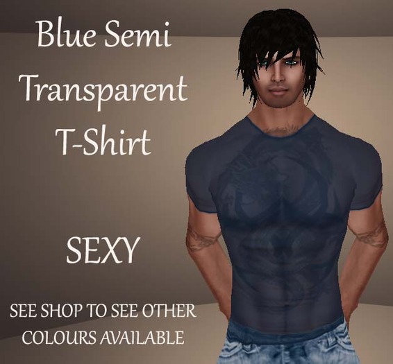 Blue Semi Sheer T Shirt Sexy Transparent  See Shop more colours