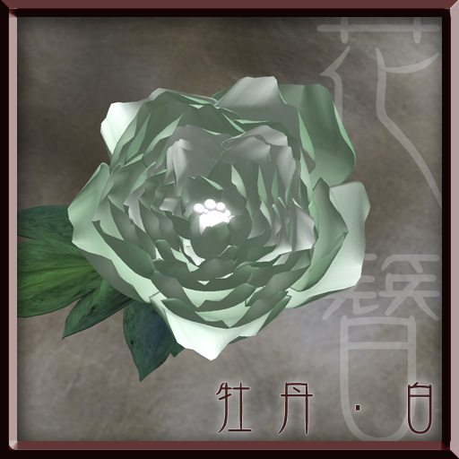 *bg* hanakanzashi(botan_shiro)