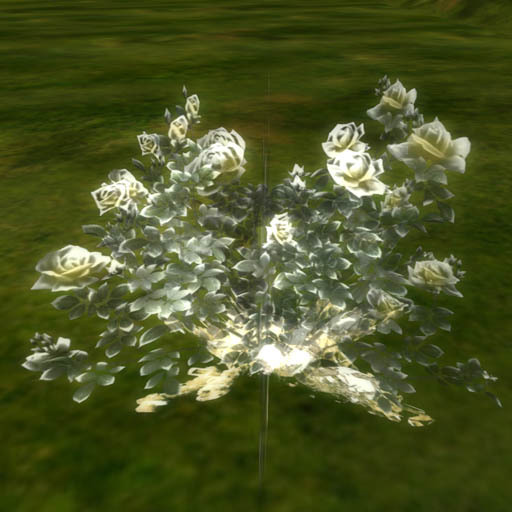 crystal rose Citrine