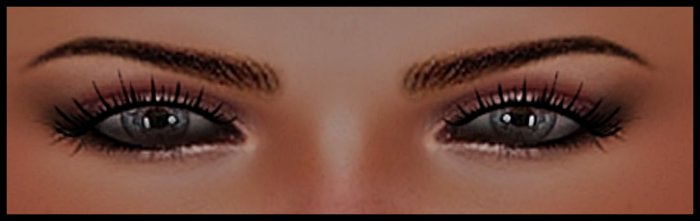 <Toxic Bish> Pretty Eyelashes Make up 2.0 Layer