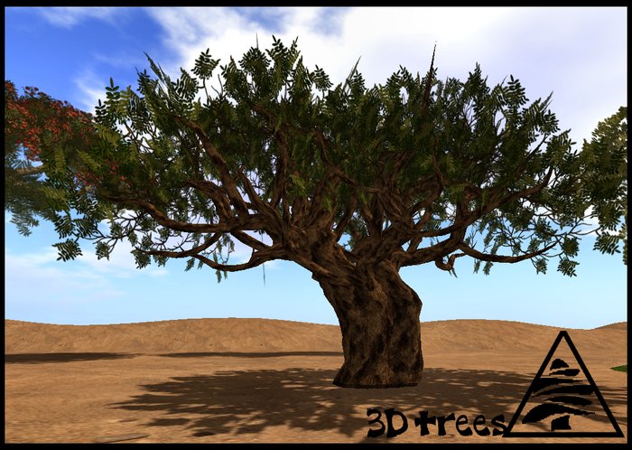 Frankincense MODIFY TRANSFER