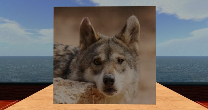 card: WOLF (HAPPY VALENTINE'S DAY!)