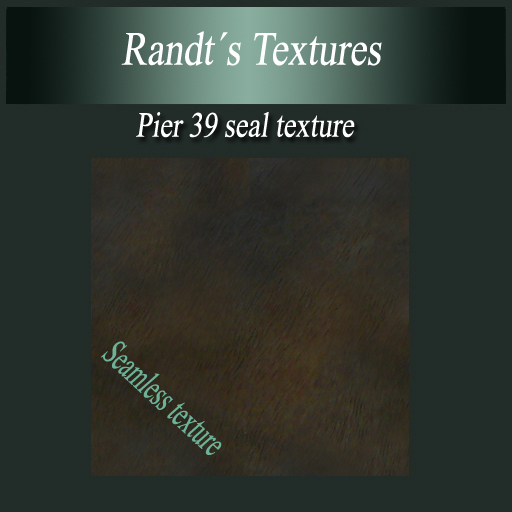 Randt's Pier 39 Seal Texture