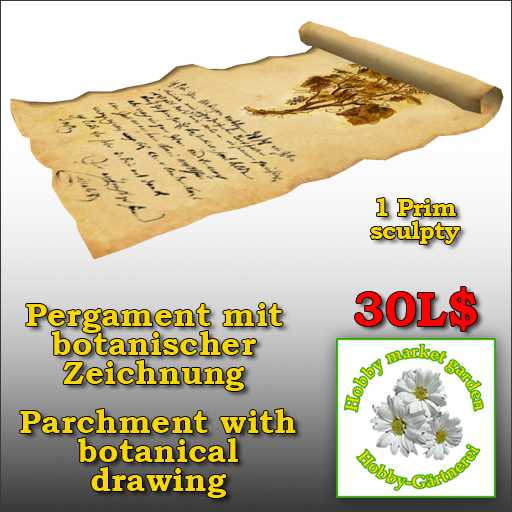 Parchment roll with botanical plant drawing